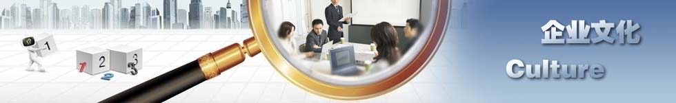 Company Culture